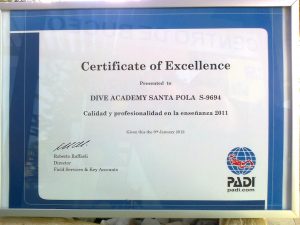 padi cert | RUSHKULT