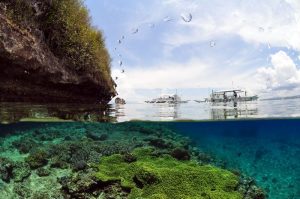 pescador island