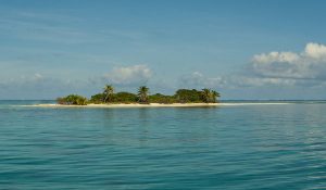 pigeon cay