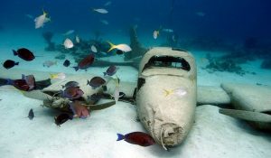 plane wreck bahamas