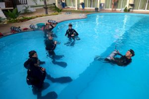 pool tech dive training