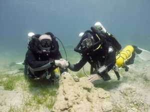 rebreather diving