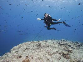 reef hook scuba diving 2