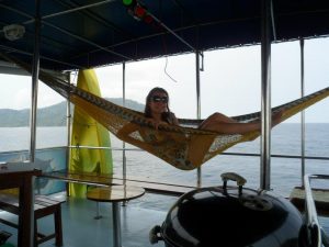 relax on board of smiling seahorse