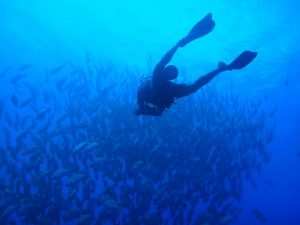 scuba dive belize