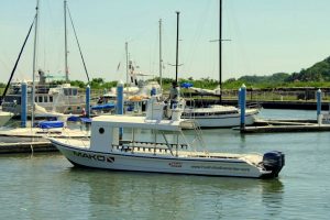 scuba dive boat 2