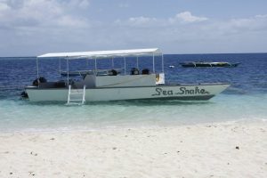 scuba dive boat cebu