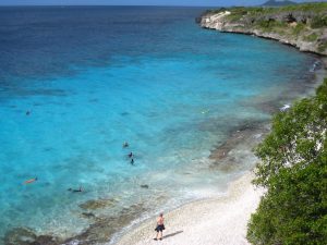 scuba dive bonaire