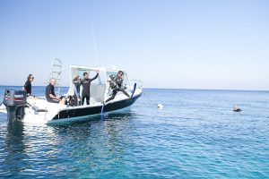 scuba dive roatan