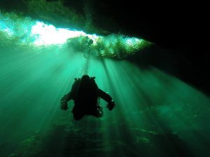 scuba diver cenote