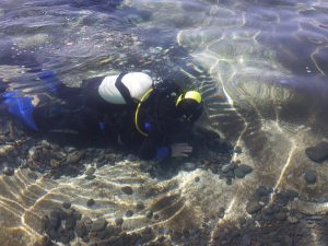 scuba diver madeira