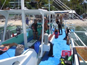 scuba divers apo island