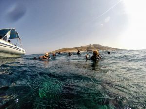 scuba divers on surface