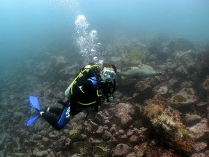 scuba diving Galapagos