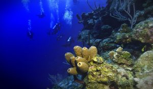 scuba diving Grand Cayman