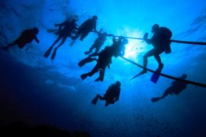 scuba diving andaman islands