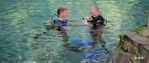 scuba lesson pool