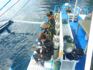 scuba lessons coron
