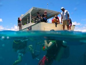 scuba utila