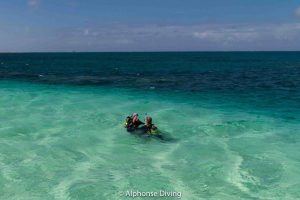 shore dive seychelles