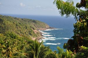 shore line dominica