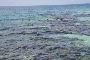 snorkel belize