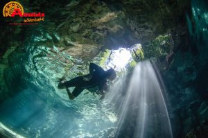 snorkel cenote