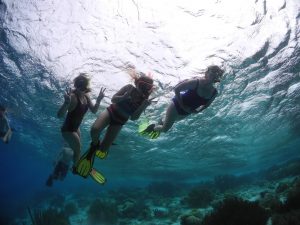 snorkel utila