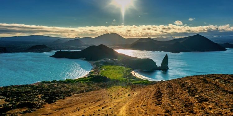 dive trip to galapagos