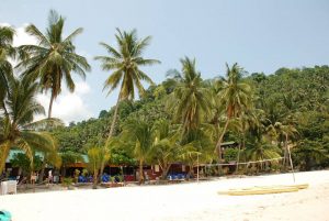 tioman island jungle and beach