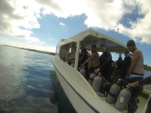 utila Scuba divers