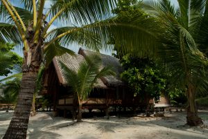 wakatobi resort