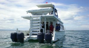 waow seafari catamaran bali