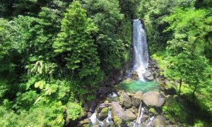 waterfall dominica