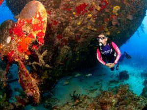 wreck dive bahamas