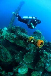 wreck dive palau