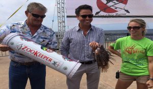 zookeeper lionfish container