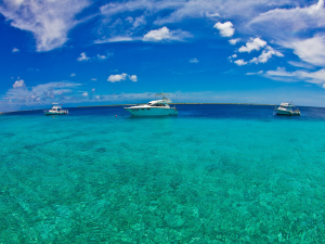 Bonaire