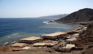 Dive the blue hole in dahab