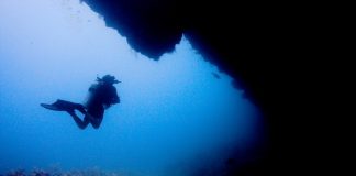 Diving in Utila