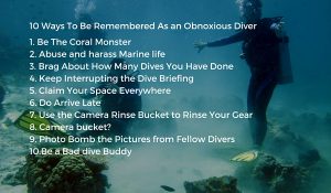 Obnoxious Diver