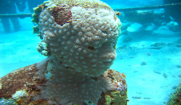 How Artificial Reefs Help Nature Restore Itself?