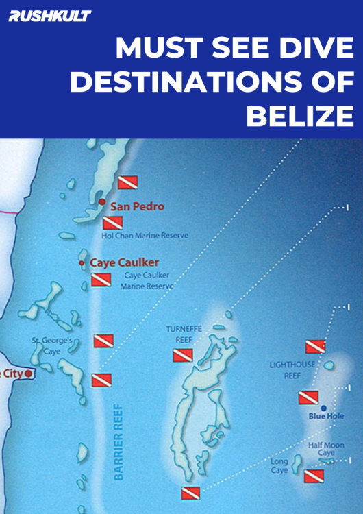 The Ultimate Guide to Diving The Great Blue Hole in Belize  RUSHKULT